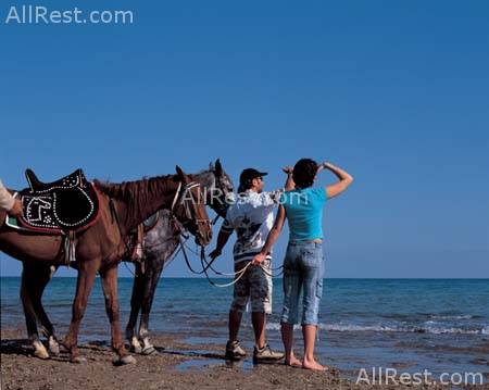Beach Albatros Hotel 15